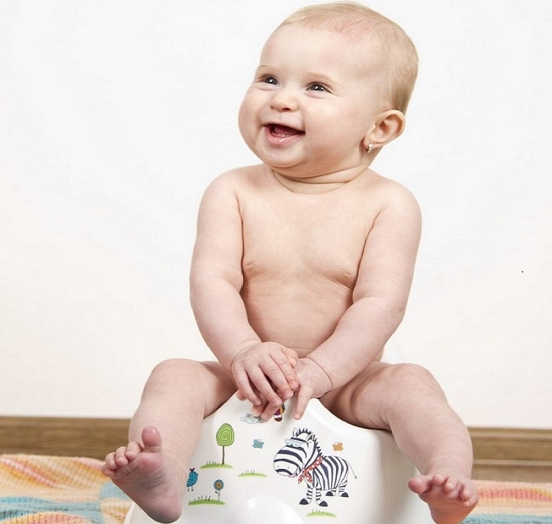 potty training seat