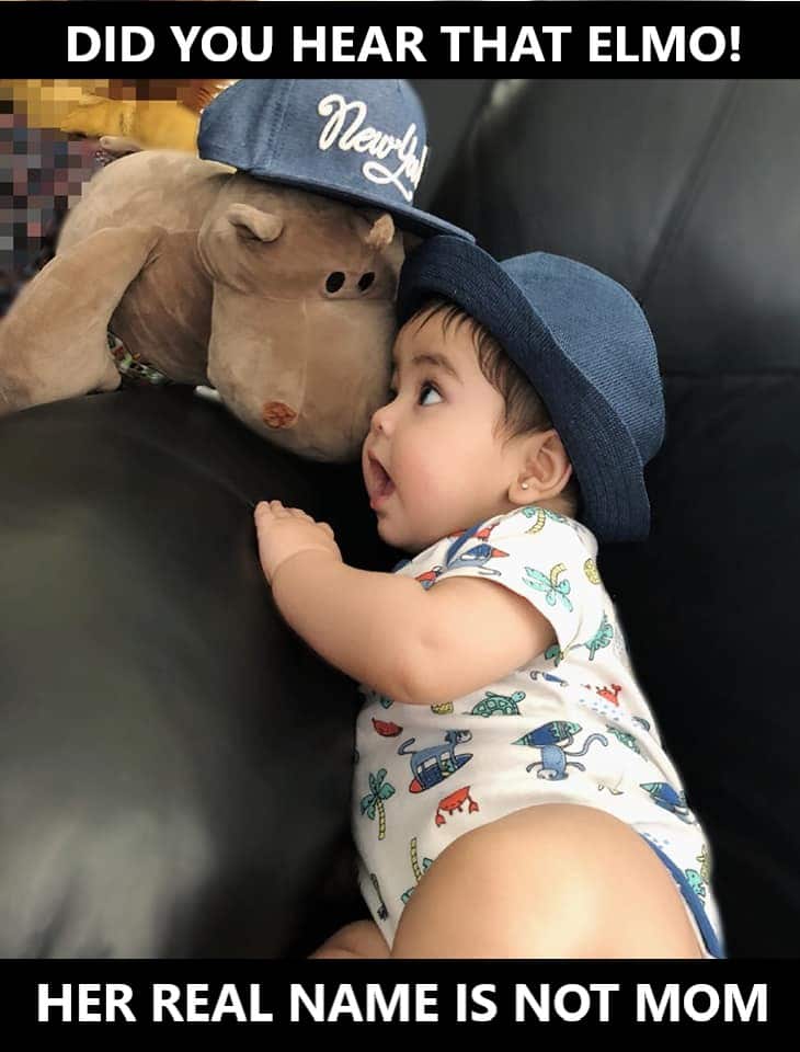 cute baby meme - baby telling secret to elmo